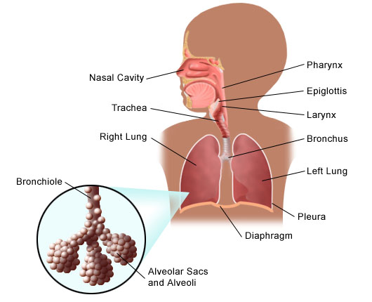 Asthma in Children