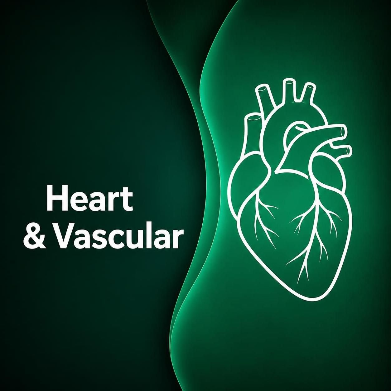 Cardiovascular Disease Follow-up