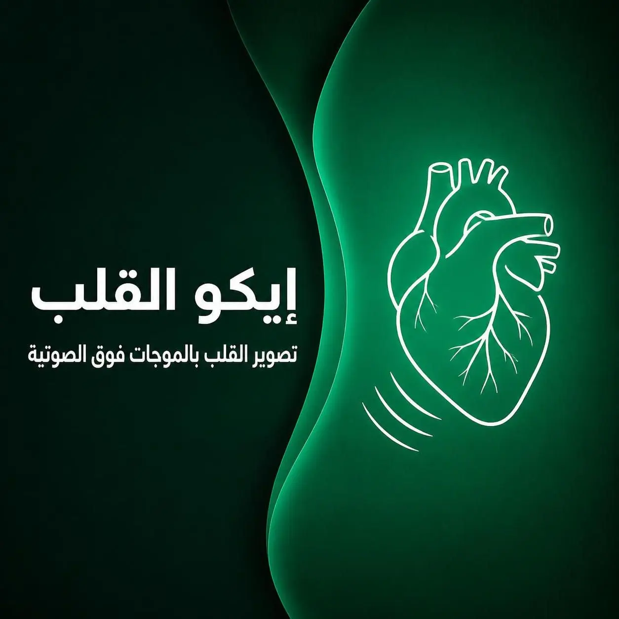 إيكو القلب