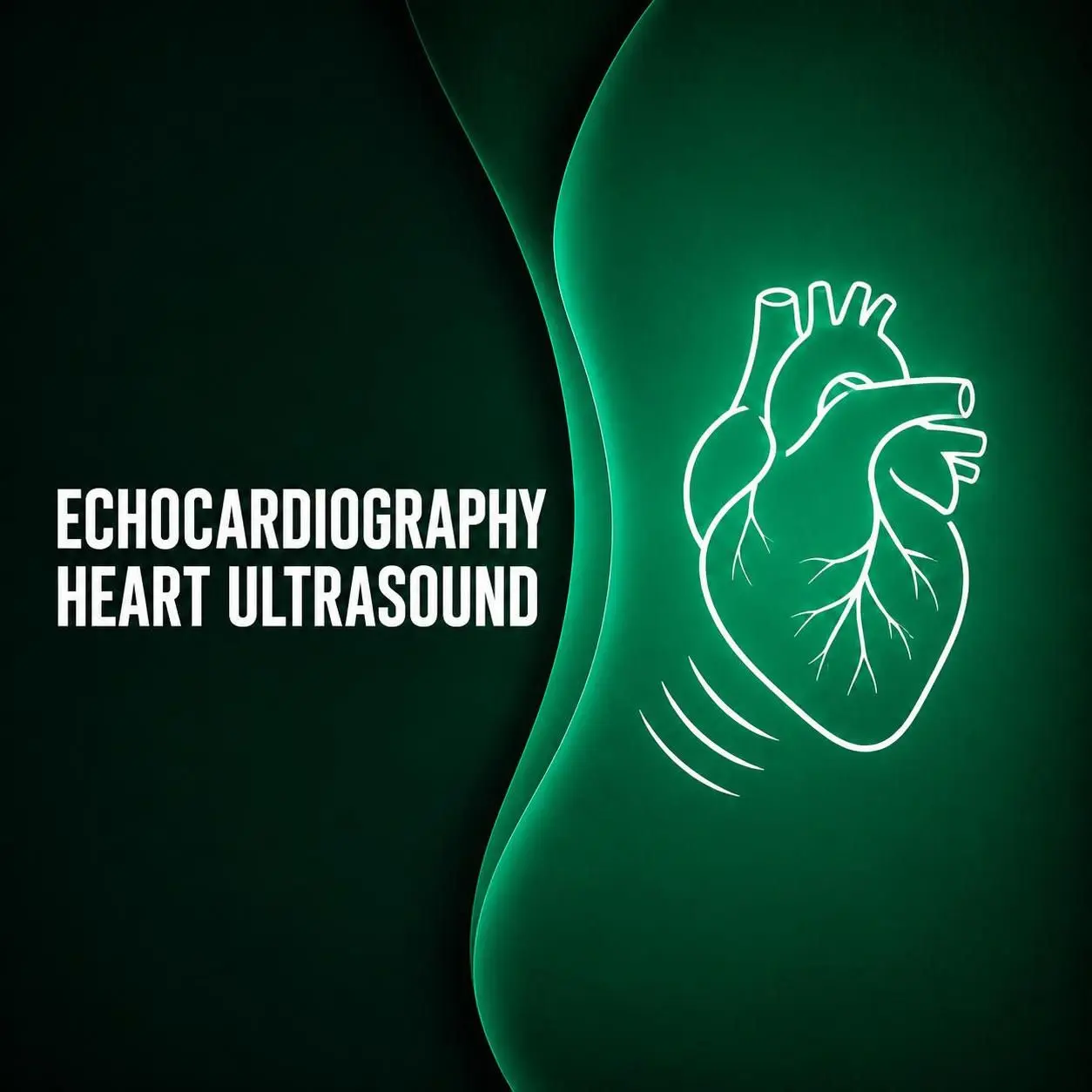 Echocardiogram