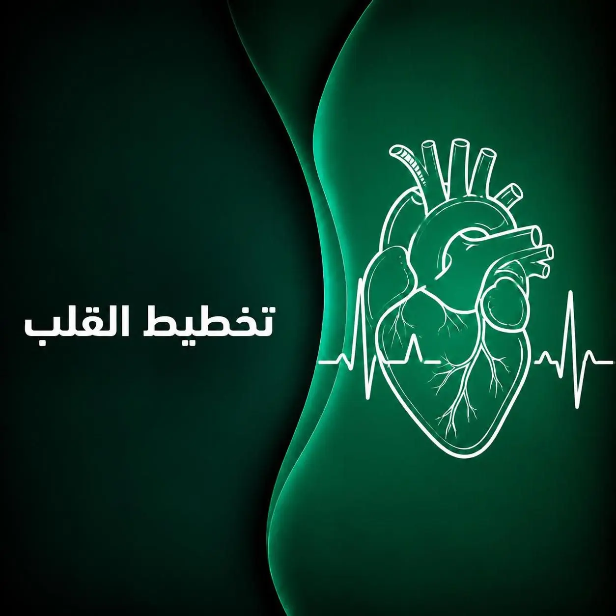 تخطيط القلب
