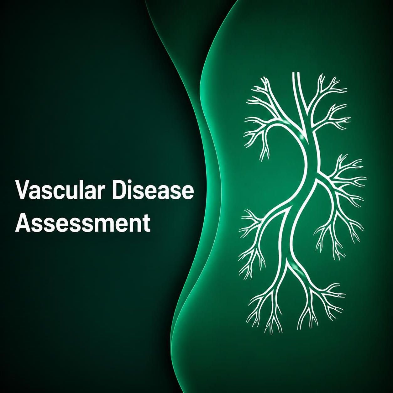 Vascular Disease Assessment