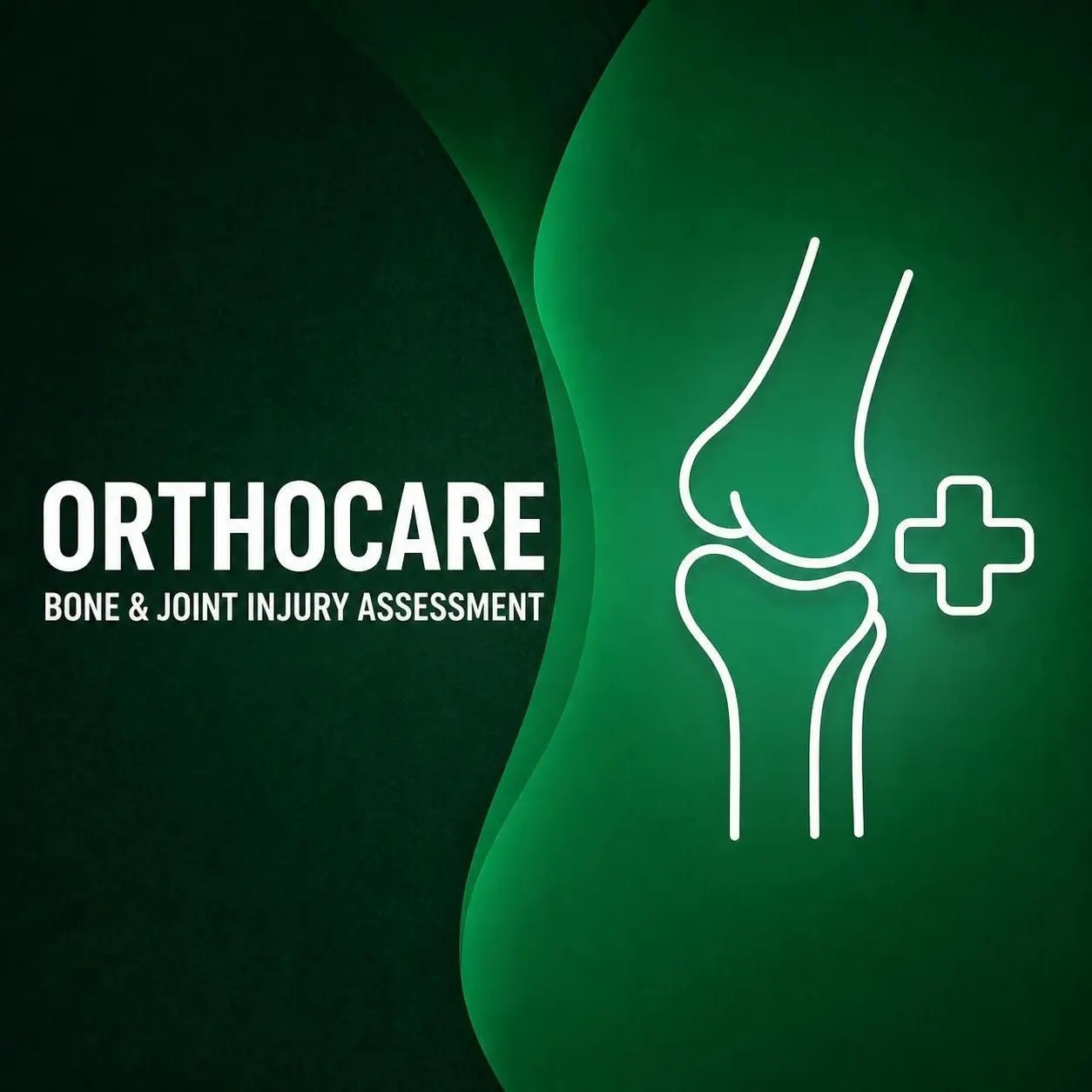 Bone and Joint Injury Assessment