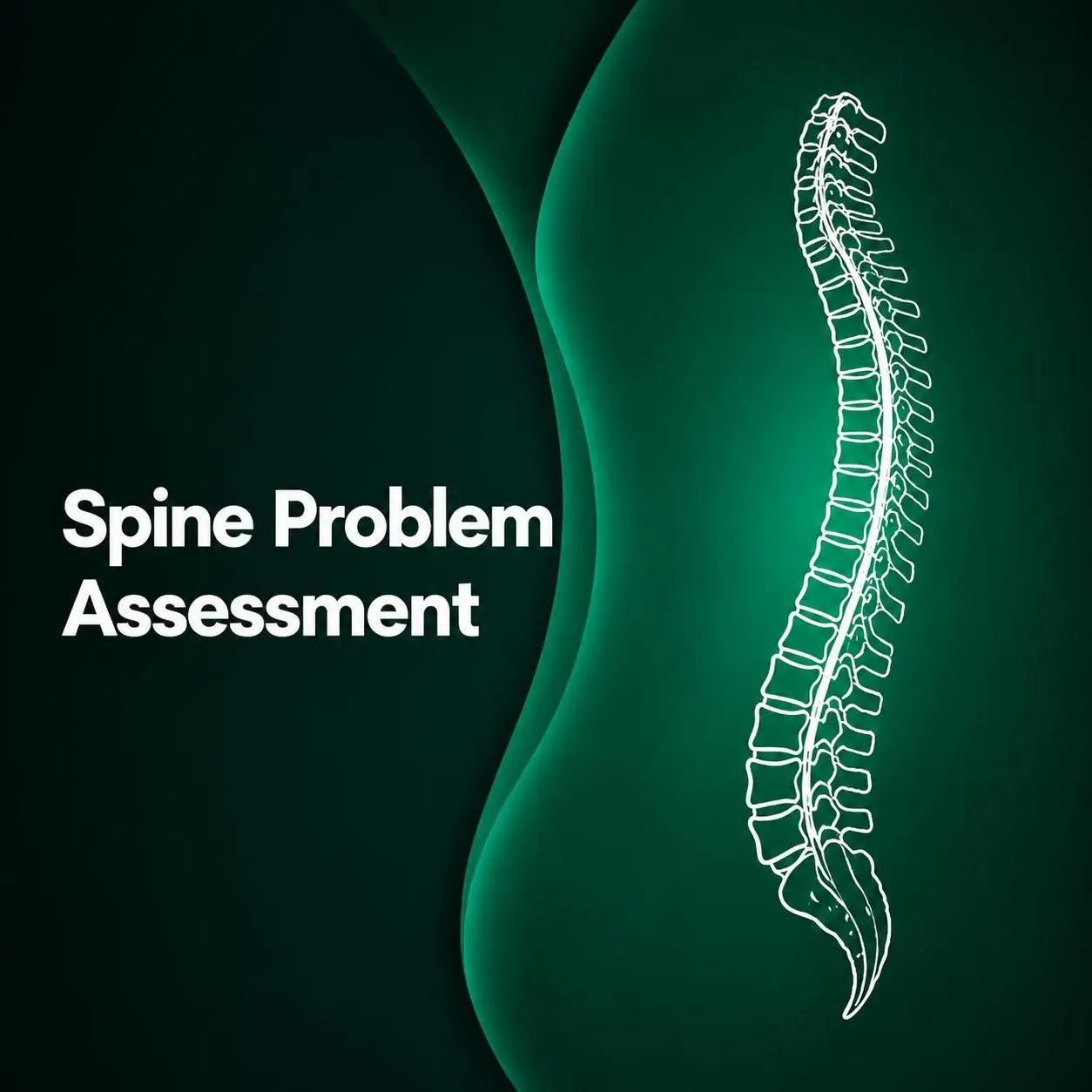Spine Condition Assessment