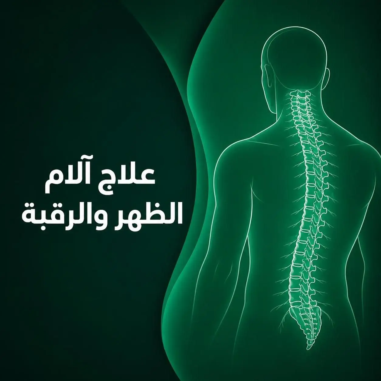 علاج مشاكل الظهر والرقبة
